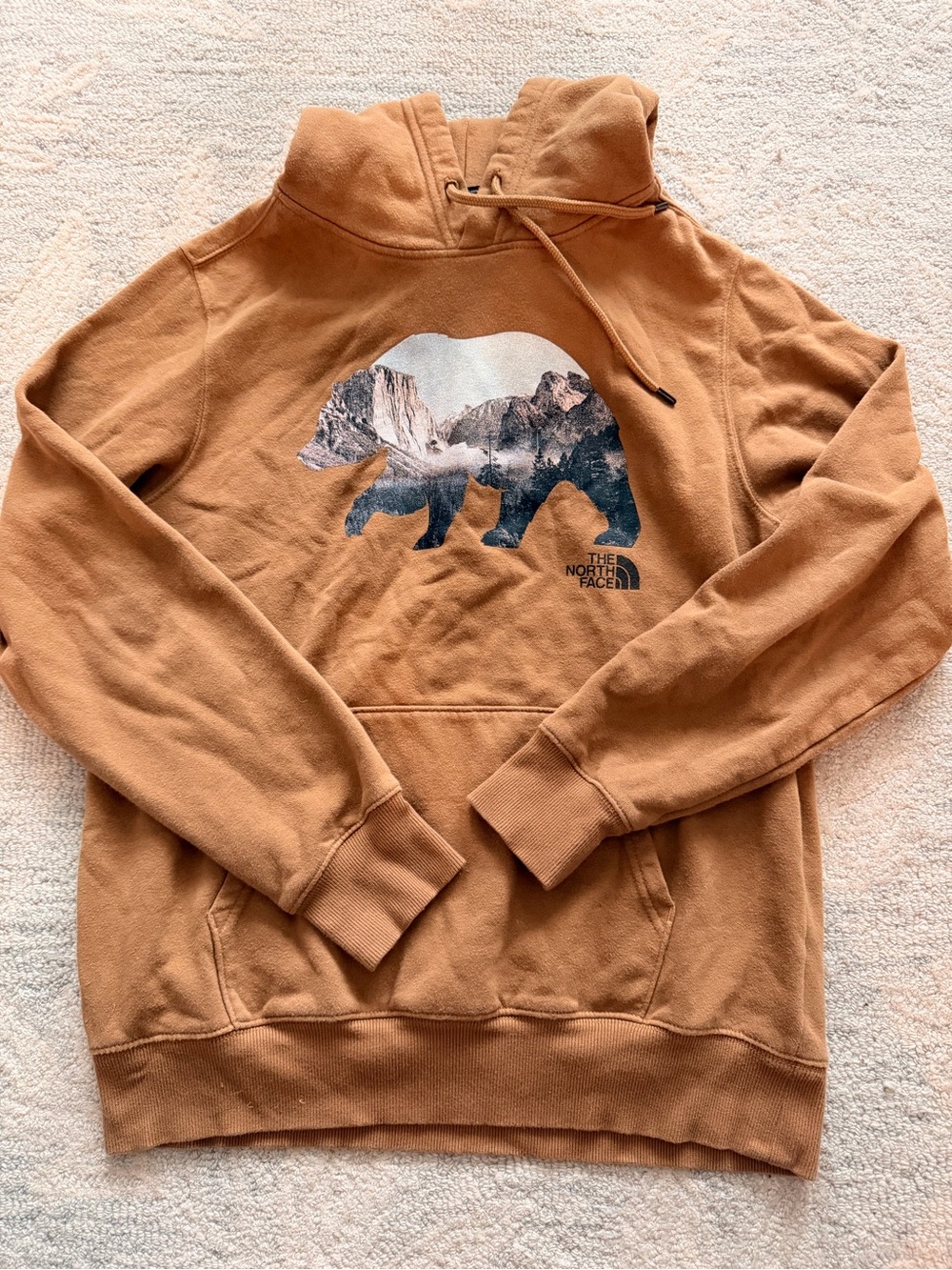 The North Face Men's Tan Bear Graphic Pullover Hoodie